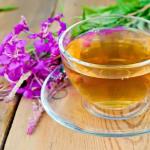 Rastlina fireweed: užitočné vlastnosti a kontraindikácie pre mužov Kontraindikácie čaju Ivan pre mužov