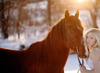 Prečo žena, slobodné dievča alebo tehotná žena sníva o koni?