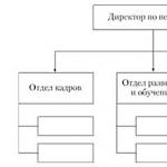 Кадрова и офис поддръжка на системата за управление на персонала (HRMS)